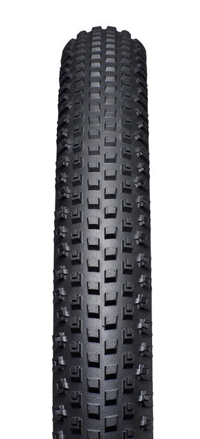 Renegade 29x 2.2 Control Tire