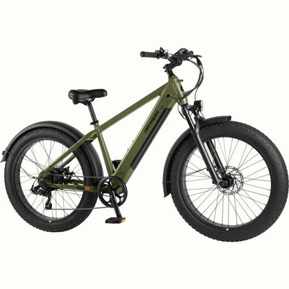 Koa Rev 2 Fat Tire Electric Bike - Step Over